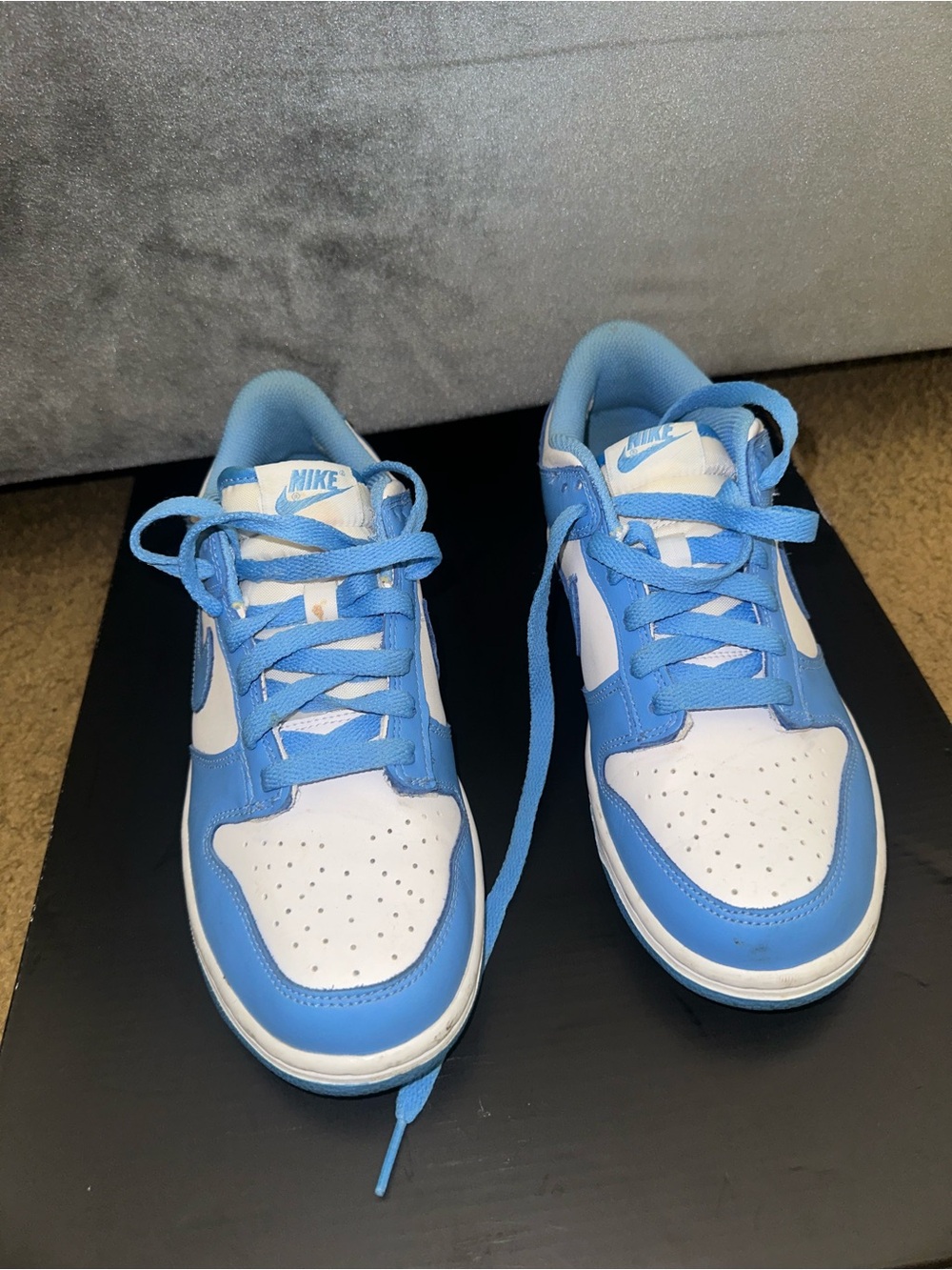 Nike Dunks